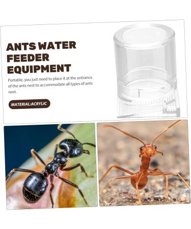 Didiseaon Pet Water Feeder Ant Nest Water Feeder Ants Feeding Device Ants Waterer Ant Feeder Climbing Pet Food - Buy Online on SooperMarket.com