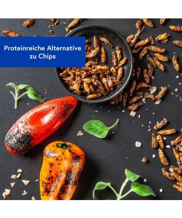 Sensible Insect Snack | Roasted Mealworm Protein & Crunchy Party Mix | Unique Grilling Gift Idea - Buy Online on SooperMarket.com