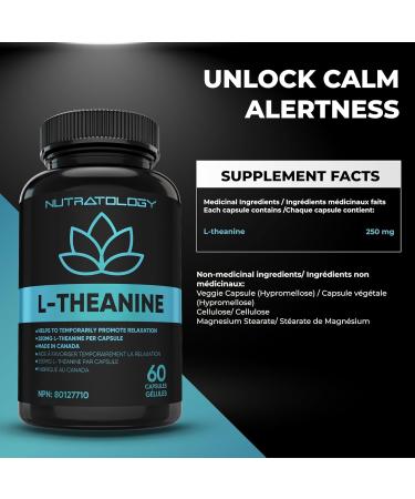 L-Theanine 250MG Capsules - For Stress Management & Relaxation - Promotes Focus Alertness & Clarity - L Theanine Supplement for Stress Relief - 250 mg per capsule - 60 Capsules 60 count (Pack of 1) - Buy Online on SooperMarket.com