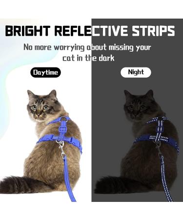 Supet Cat Dishes & Line Set - Perfect Feeding Solution for Kittens | International Shipping Available - Buy Online on SooperMarket.com