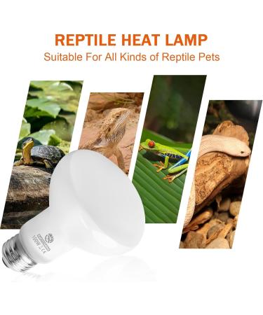 REPTI HOME Reptile Heat Lamp 2 Pack 100W Reptile Heat Lamp Bulbs Amphibian Terrarium Basking Spot Lamp for Reptile Bearded Dragon Lizard Turtle Snake - Buy Online on SooperMarket.com
