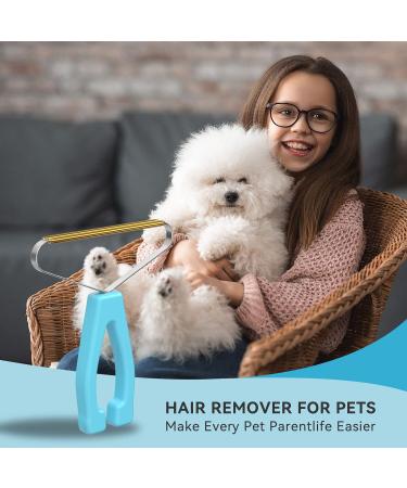 Buy Carpet Rake & Pet Hair Remover | Deep Cleaning Tool for Dog & Cat Fur | Lint & Fuzz Remover for Couch Carpet & Furniture - Buy Online on SooperMarket.com