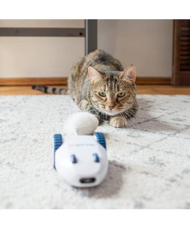 Kittio Robo Mouse: Interactive Cat Toy with Smart Steering Sensors - USB Charging - Buy Online on SooperMarket.com