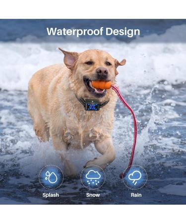 Anti Barking Dog Collars Citronella Dog Collar for Barking with Remote Smart Anti Bark Collar with 4 Training Modes Rechargeable Safe Citronella Spray Dog Barking Collar for Small Medium Large Dogs Black#XG03 - Buy Online on SooperMarket.com