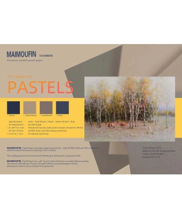 10 Sheets MAIMOUFIN Sanded Pastel Paper 15.4 * 10.7inch Warm Color Art Drawing Paper for Pastels  Art Supplies Craft Paper Sanded Pastel Paper for Artists Pencils & Charcoal Soft Pastels (Warm Brown)