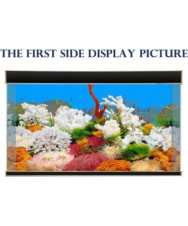 ELEBOX 20x48 Fish Tank Background - 2 Sided River Bed & Lake Aquarium Decor - H 19.5 x L 48 - Premium Quality - Buy Online on SooperMarket.com