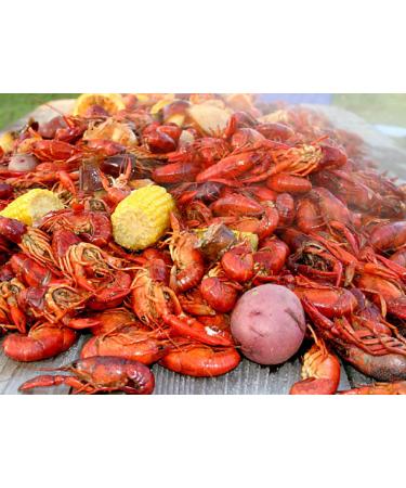 2 Gringos Chupacabra Cajun Seasoning Blend - 25 oz | Authentic Southern Flavors - Buy Online on SooperMarket.com