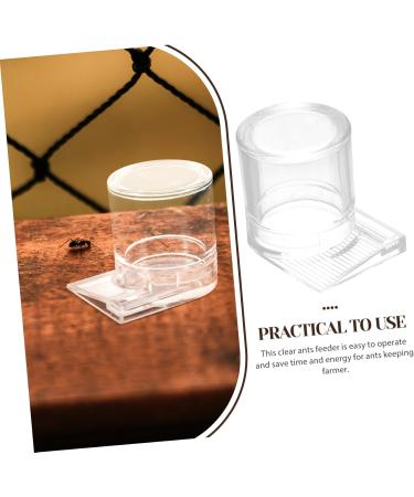 Sosoport Pet Water Feeder Clear Ants Feeder Ant Keeper Tools Ant Nest Water Cup Ant Bowl Automatic Ants Feeder Ants Feeding Device Ant Waterer Ant Feeder Ant Nest Entrance Feeder - Buy Online on SooperMarket.com