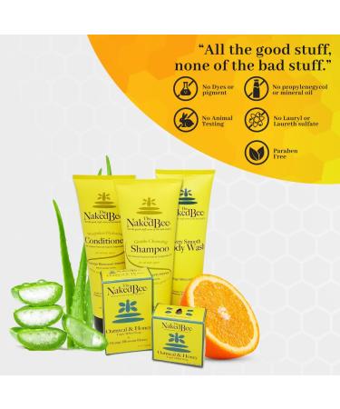 The Naked Bee Orange Blossom Honey Foaming Hand Soap 12 Oz - Buy Online on SooperMarket.com