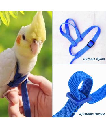 Newsmy Bird Harness Adjustable Feather Tether Parrot Harness Leash Outdoor Training Carrier for Budgerigar Lovebird Cockatiel Mynah Cockatoo Parakeet Macaw (Blue S) - Buy Online on SooperMarket.com