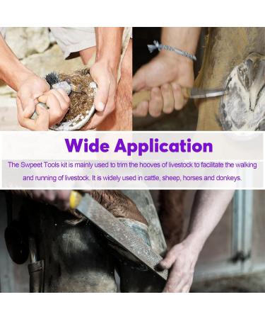 Swpeet 8pcs Professional Farrier Tool Kit - Hoof Trimmer Scissors Cutter Rasp Pliers & Roll Pack for Horses | International Shipping Available - Buy Online on SooperMarket.com
