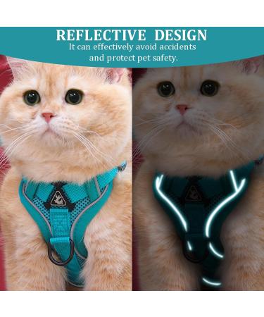 Fineasy Cat Dishes with Adjustable Leash - Outbreak-Proof Harness & Soft Cat Kitten Dog Breastware (Green S) | Shop Internationally - Buy Online on SooperMarket.com