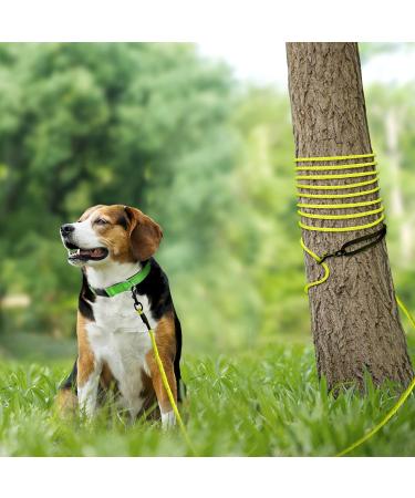 Joytale Reflective Dog Leash 10m - Padded Handle 2 Snap Hooks Nylon Training Leash for Puppies & Small Dogs - Neon Yellow - Buy Online on SooperMarket.com