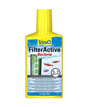 Tetra FilterActive Bacteria- mix of live starter bacteria & sludge-reducing cleaning bacteria to support biological activity in aquarium extend cleaning intervals & improve filter performance 250ml 250 ml (Pack of 1)