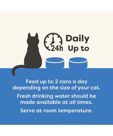 Applaws Natural Wet Adult Cat Food - Tuna Fillet & Salmon in Jelly 70g Can (Pack of 24) | Premium Cat Nutrition - Buy Online on SooperMarket.com