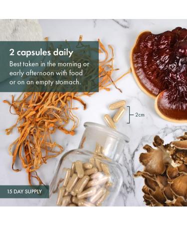 Host Defense Stamets 7 Mushroom Capsules Daily Immune Support & Energy with Organic Mycelium Blend Immune Support Blend with Lion's Mane Chaga Cordyceps Reishi Maitake Mushroom Turkey Tail Mushrooms Supplement Certified Organic Vegetarian Capsules Stamets - Buy Online on SooperMarket.com