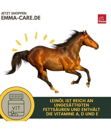 Buy Emma Linseed Oil for Horses & Pets - Cold-Pressed Omega 3 & 6 Fatty Acids for Shiny Fur & Digestion | 2x1L - Ideal for Dogs & Cats - Buy Online on SooperMarket.com