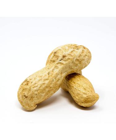 Premium USA Grown Raw Peanuts in Shell for Squirrels - Unsalted & Boiled Jumbo Peanuts for Birds - Green - Buy Online on SooperMarket.com
