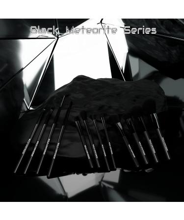 Wild Universe 12Pcs Professional Makeup Brush Set - Synthetic Kabuki Brushes for Foundation, Contour, Blush, and More | Black Meteorite Series - Buy Online on SooperMarket.com