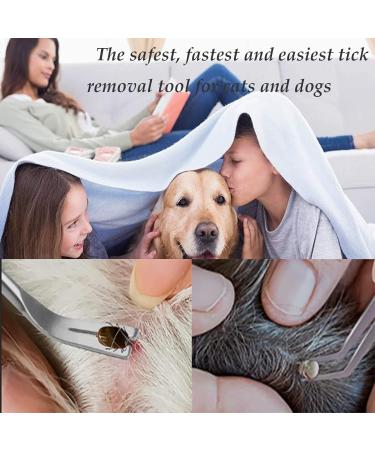 EasyULT 2 in 1 Tick Remover Stainless Steel Professional Tick Removal Tool Safe Tick Remover for Pet Humans Dogs Cats 1 silver - Buy Online on SooperMarket.com