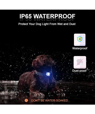 2 Pack LED Dog Harness Lights - Fluorescent Silicone Bands with USB-C - IP65 Waterproof - 3 Modes Flashing Light (Blue) - Buy Online on SooperMarket.com