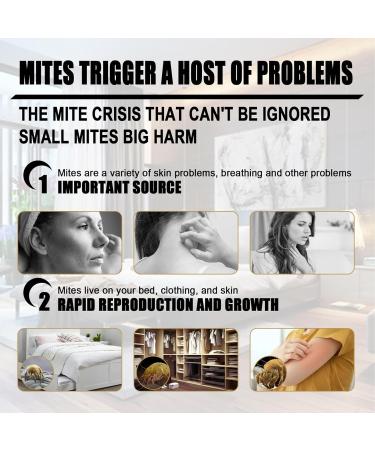24Pcs Mite Removal Bag Mite Removal Agent Organic Material Oil Plants for Household Bed Eucalyptus Wipes - Buy Online on SooperMarket.com