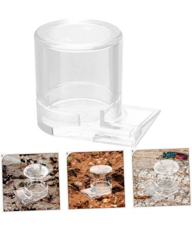 BESPORTBLE Pet Water Feeder Ant Waterer for Garden Ant Nest Water Dispenser Ant Feeder Plastic Acrylic Cricket - Buy Online on SooperMarket.com