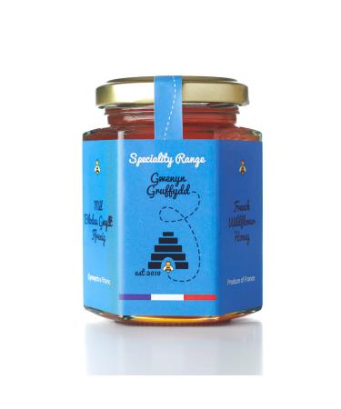 Gwenyn Gruffydd - French Raw Mountain Forest Chestnut Single-Origin Honey - Pure and Natural - Unpasteurised WildFlower Honey - unfiltered unheated - from Non-Sugar Fed Bees (227g Glass Jar)