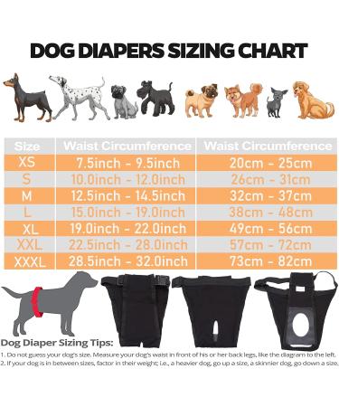 3-Way Pack Functions for Dogs - Washable & Durable Dog Accessories | Shop Now! - Buy Online on SooperMarket.com