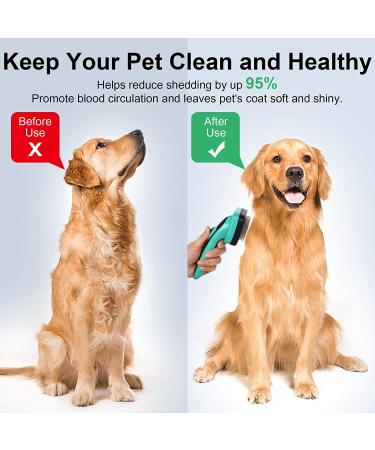 Self Cleaning Slicker Brush for Pets - Remove Loose Hair, Fur, Mats, and Tangled Hair - Ideal for Dogs, Cats, and Rabbits - Aqua Green - Buy Online on SooperMarket.com