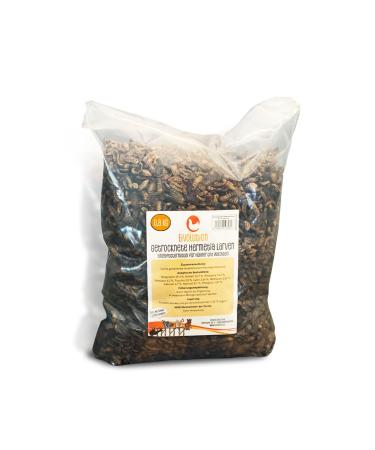 Eigenbilflarl larvae dried I 800G I Rich to protein i high-quality hermetic stars as chicken food I also suitable as bird fish or quail feed