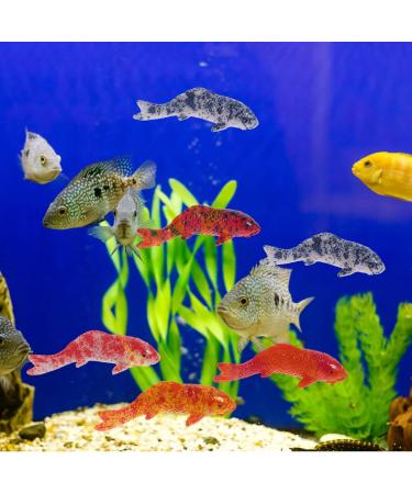 Artificial Floating Fish Decoration - 5pcs Aquarium Model for Terrarium & Landscape Crafts - Buy Online on SooperMarket.com