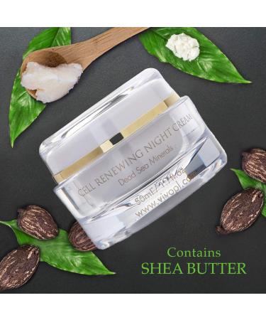 Vivo Per Lei Dead Sea Night Cream - Anti-Aging Moisturizer for Youthful Skin | 1.7 Fl Oz Shea Butter Night Cream - Buy Online on SooperMarket.com