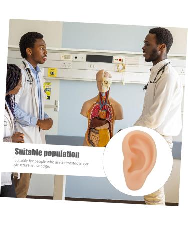 Silicone Ear Model - 3D Major Cyborg Presentation Tool for Ear Training and Piercing Practice - Buy Online on SooperMarket.com