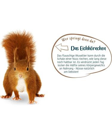 Elle's Squirrel Feed - Nutty Variety 5x600g | Winter Vitamins & Nuts | 100% Natural Squirrel Mix - Buy Online on SooperMarket.com