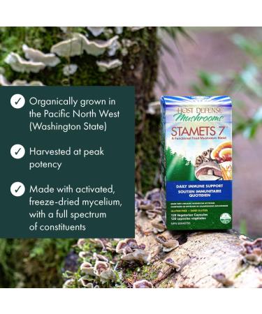 Host Defense Stamets 7 Mushroom Complex Supplements |Immune Booster Supplement with 7 Mushroom Blend - Lions Mane Chaga Cordyceps Reishi Maitake Mushrooms Supplements Capsules (120 Count (Pack of 1) Stamets 7 Capsules) Stamets 7 Capsules 120 count (Pack o - Buy Online on SooperMarket.com