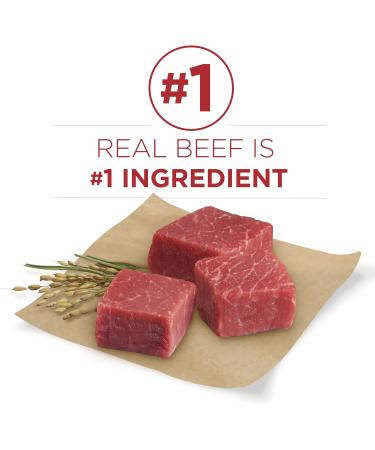 Purina ONE Smartblend Large Breed Dry Dog Food 7 kg + Purina ONE Smartblend Small Breed Dry Dog Food (Beef) 3.63 kg Dry Dog Food + Dog Food Beef 3.63 kg - Buy Online on SooperMarket.com