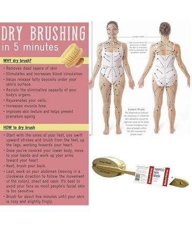 Yerba Prima Tampico Skin Brush - Exfoliate for Radiant Skin & Improved Circulation - Buy Online on SooperMarket.com