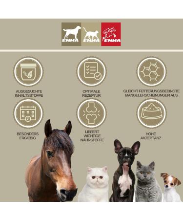 Premium Vitamin Paste for Horses | Amino Acids & Energy Booster | Muscle Regeneration & Performance | 3x30ml - Buy Online on SooperMarket.com