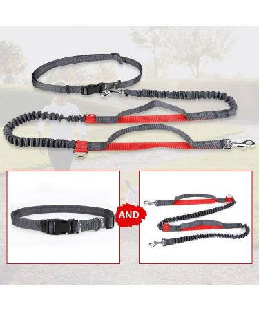 Achort Hands-Free Dog Leash & Waist Belt with Bungee - Reflective Adjustable for Dogs Up to 110 kg - Perfect for Running & Jogging (Red) - Buy Online on SooperMarket.com
