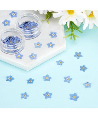 100 Pcs Natural Forget-Me-Not Dried Flowers for DIY Jewelry, Candle, Card Making - Real Pressed Flowers for Resin Ornaments & Nail Art Decorations - Buy Online on SooperMarket.com