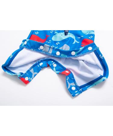 BONVERANO Baby Boys Swimsuit | Toddler Short-Sleeve Zipper Bathing Suit | UPF 50+ Sun Protection | Colorful Whale Design | 12-18 Months - Buy Online on SooperMarket.com