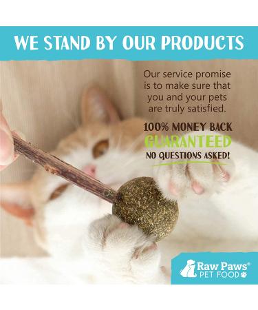 Raw Paws Catnip Lollipop (6-Pack) - Catnip Toys for Indoor Cats - Catnip Ball, Silvervine & Matatabi Stick for Cats - Buy Online on SooperMarket.com