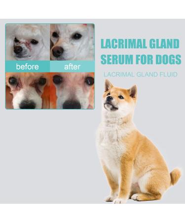 Eye Care Tear Stain Remover for Dogs & Cats - Effective Eye Drops for Inflammation - Better than Ointment - Buy Online on SooperMarket.com