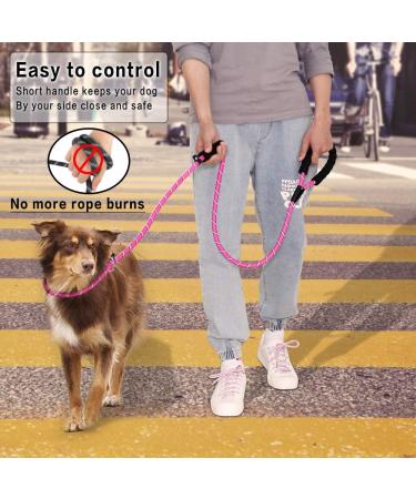 PLUTUS PET Dog Slip Lead Anti-Choking 6ft Pink - Reflective Two Handles Heavy Duty Training Lead for Medium Large Dogs - Buy Online on SooperMarket.com