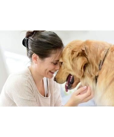 valonic tick remover 2 pack red tick removal tool tick remover for dogs and cats - Buy Online on SooperMarket.com