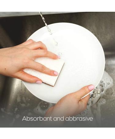 Full Circle Walnut Scrubber Sponge 2 Pack - Eco-Friendly Cleaning, 4.4 x 2.75 - Buy Online on SooperMarket.com