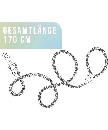High-Quality 1.7m No Tangle Dog Training Leash - Aqua Braided Rope with Hand Loop - Buy Online on SooperMarket.com