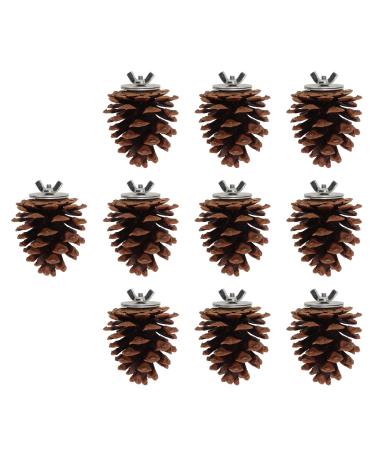 Shanrya Bird Molar Pine Cone Toy Nut Fix Parrots Chewing Pine Cones for Conure for Cockatiel