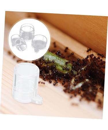 BESPORTBLE 2pcs Ant Water Feeder Mini Ant Feeder Ant Water Feeding Bowl Insect Water Feeder Transparent Acrylic - Buy Online on SooperMarket.com